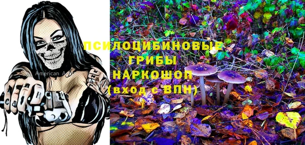 трава Богородицк