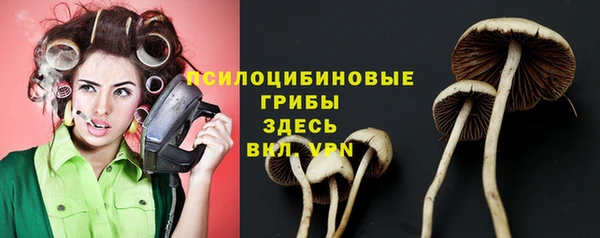 трава Богородицк