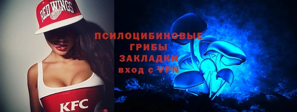 PSILOCYBIN Богданович