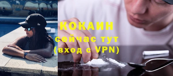 PSILOCYBIN Богданович