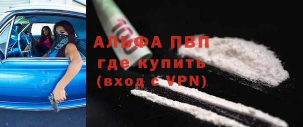 PSILOCYBIN Богданович