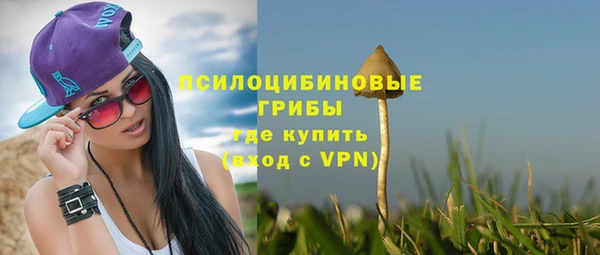 PSILOCYBIN Богданович