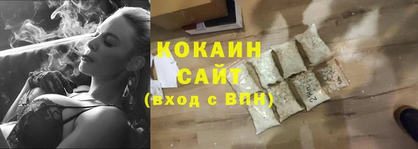 PSILOCYBIN Богданович