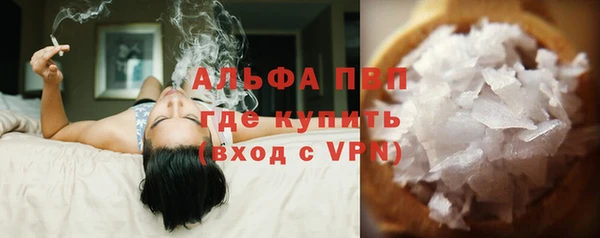 PSILOCYBIN Богданович