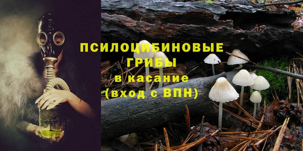 трава Богородицк