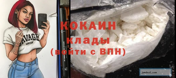 PSILOCYBIN Богданович
