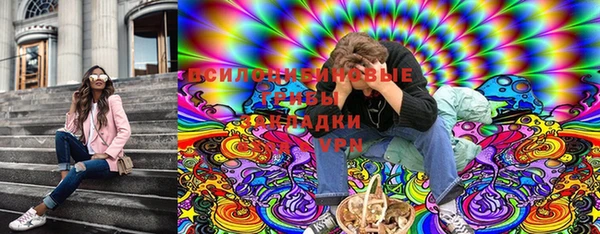 PSILOCYBIN Богданович