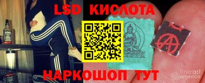 твердый Камышлов