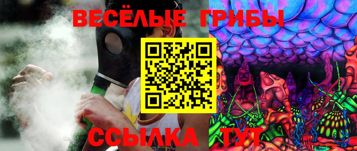 Псилоцибиновые грибы Psilocybine cubensis Наро-Фоминск